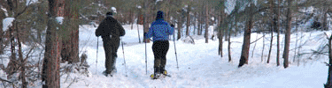 Skiers on ski trail